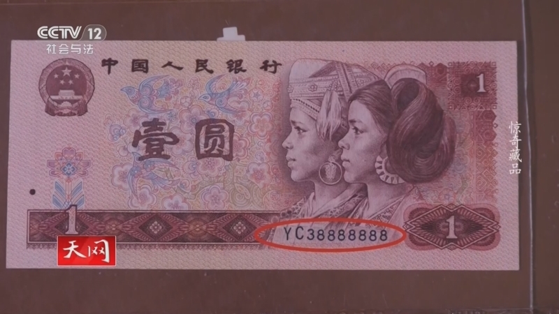 天网 《天网》 20250402 惊奇藏品