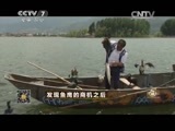 致富经 《致富经》 20150714 发现鱼鹰的商机之后