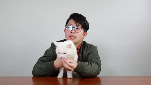 喵客帝国 用魔术能俘获猫的芳心吗