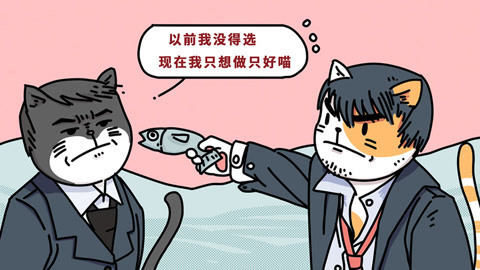 喵客帝国 辣眼睛！猫咪是这么交流