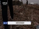 天网 《天网》 20161221 当恶念初起时