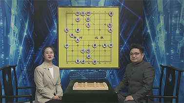 棋牌乐 [棋牌乐]20230902 洪智VS申鹏