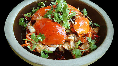 人气美食 “鸭同鸡讲”什么菜？正宗川味麻！香！辣！