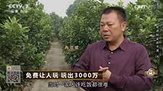 致富经 [致富经]免费让人玩 玩出3000万 20160929