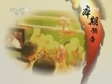 生财有道 《生财有道》 20120615 小土猪的大市场