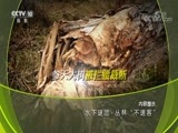 地理中国 《地理中国》 20180701 水下谜团·丛林“不速客”