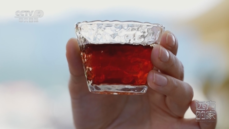 《远方的家》 20251210 北纬24度的咖香密码