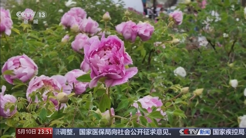 《24小时》 20260510