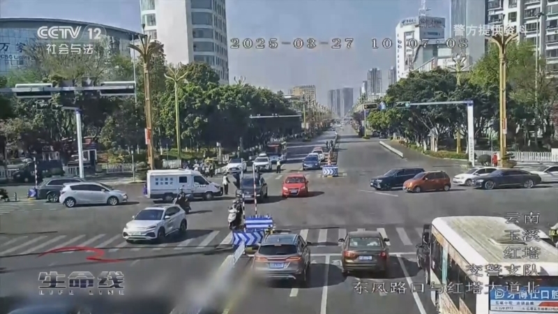 生命线 《生命线》 20260126
