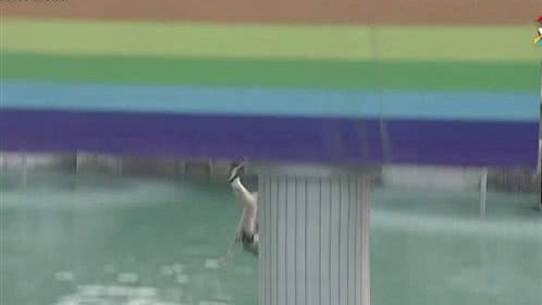勇者大冲关 第一季 外国友人前来挑战