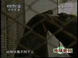 地球密码（周末精编节目） 周末精编节目 2010年 第161期 1-2