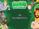 绿野寻踪 《绿野寻踪》 20170510