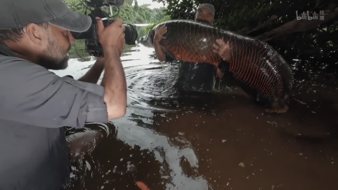 失落的湖中恐龙