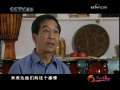 风华国乐 风华国乐 2009年 第201期