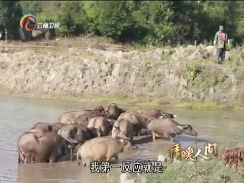 情暖人间 《情暖人间》 20140505