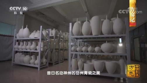 中国影像方志 《中国影像方志》 第527集 湖南湘阴篇