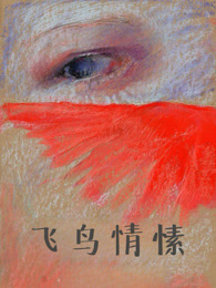 飞鸟情愫
