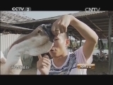 消费主张 《消费主张》20141105 千奇百怪独一味