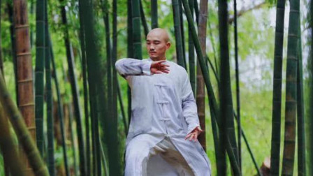 全球武术大师 深藏不露！一龙练习太极多年无人知晓，与释小龙演的电影很受欢迎