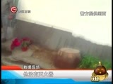 新闻延长线 《新闻延长线》 20170425