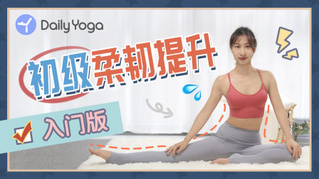 初级柔韧提升 拉伸大腿 打开身体局限
