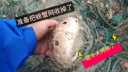 南澳岛赶海日记 彪哥放螃蟹网抓了几百斤一个比一个肥，也是今年最后一次，是何原因