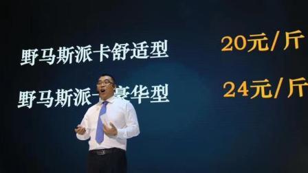 Youku Lab 2017 王大夫的实验室:川渝车企多奇志 烂车为何仍有市 69