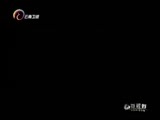 新视野 《新视野》 20151228