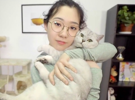 举起爪儿来 猫咪秒变健身利器