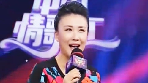 中国情歌汇 一首歌 一段情