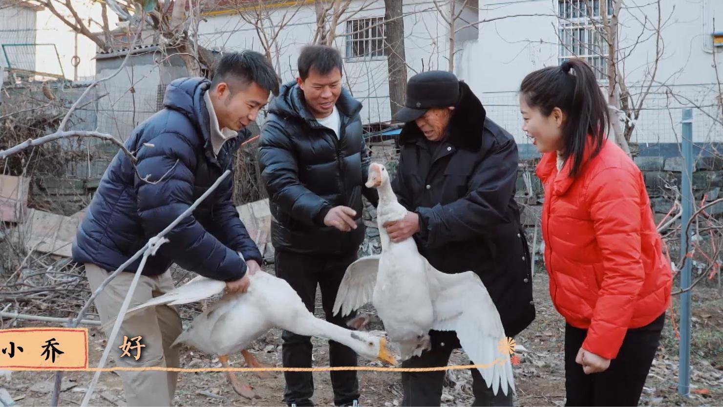 《来我家过年吧》第3期