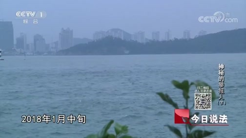 今日说法 《今日说法》 20190617 神秘的举报人（下）