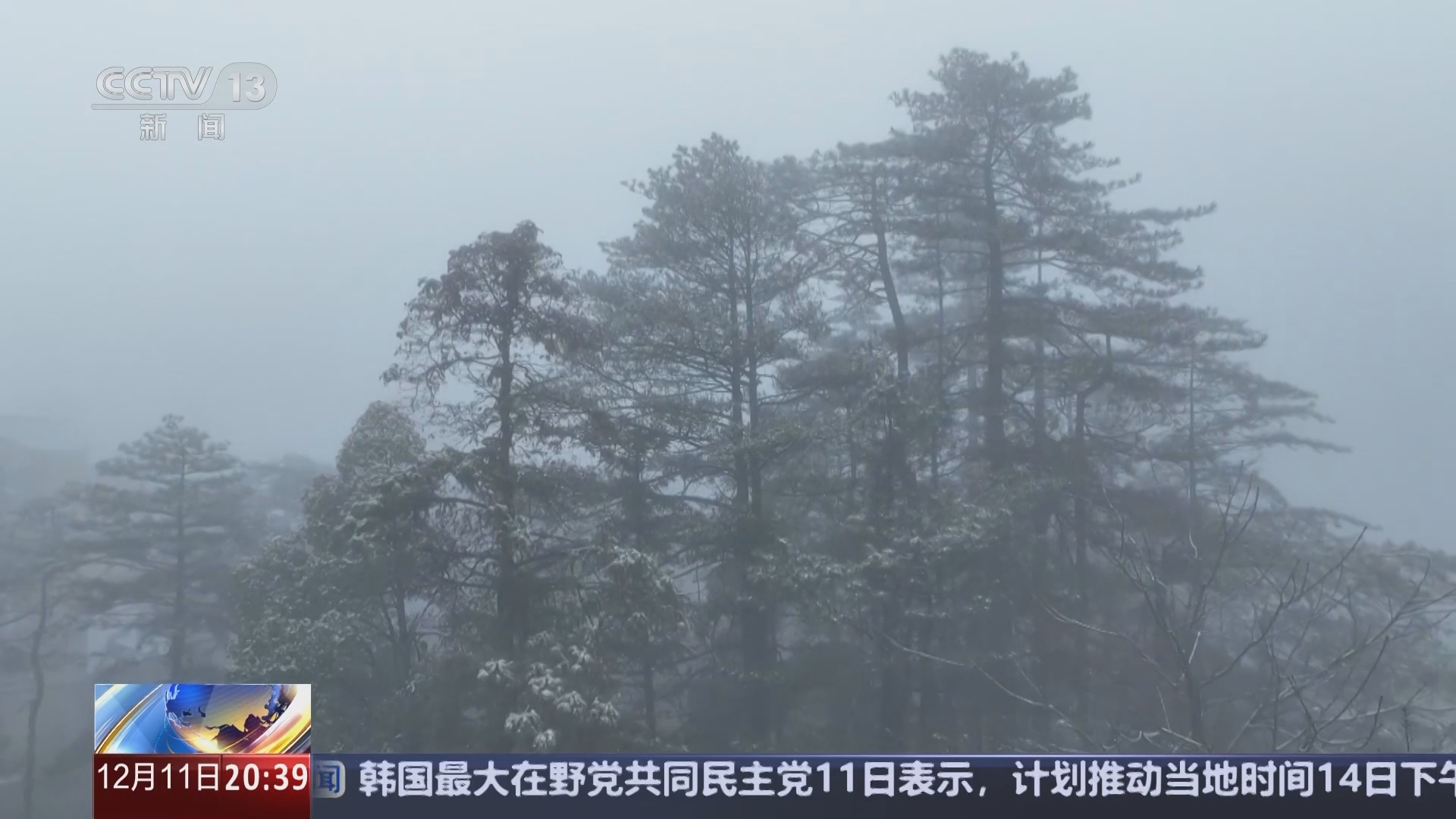东方时空 《东方时空》 20241211