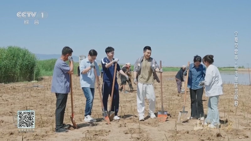 山水间的家第四季 《山水间的家》第四季 20250907