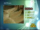 新闻袋袋裤 新闻袋袋裤 2009年 第266期