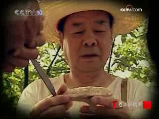 走近科学 弥陀寺村的无价宝