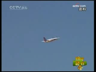 新闻袋袋裤 新闻袋袋裤 2008年 第273期