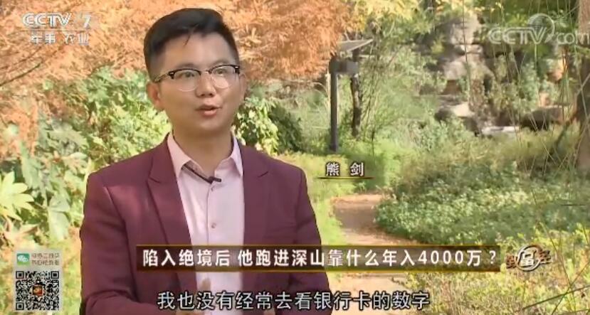 致富经 [致富经]陷入绝境后 他跑进深山靠什么年入4000万？ 20180111