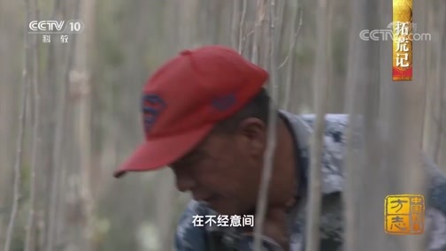 中国影像方志 《中国影像方志》 第248集 青海都兰篇
