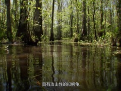 荒野求生第3季（Man vs. Wild （Season 3）） 荒野求生第3季（Man vs. Wild （Season 3））第2集