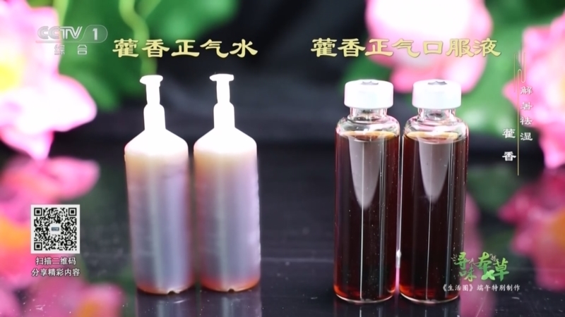 生活圈 《生活圈》 20240610 端午特别制作：寻味本草