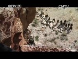 军事纪实 《军事纪实》 20150603 女兵变形记②