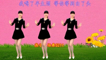 动感DJ广场舞《半生酒》演唱：黑龙，网络流行歌很嗨