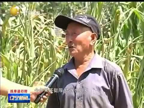 辽宁新闻 《辽宁新闻》 20140808