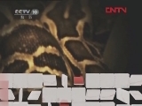 地理中国 揭秘黄龙洞（上） [地理中国] 20120324
