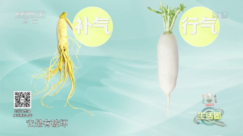 生活圈 《生活圈》 20221107