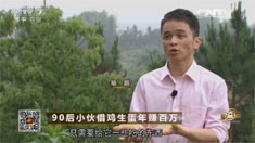 致富经 [致富经]90后小伙借鸡生蛋年赚百万 20160713