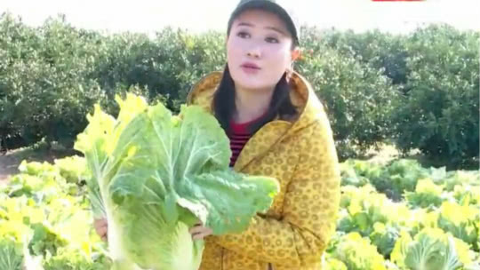 人气美食 大沽路熟食店 热卤走油肉是一绝