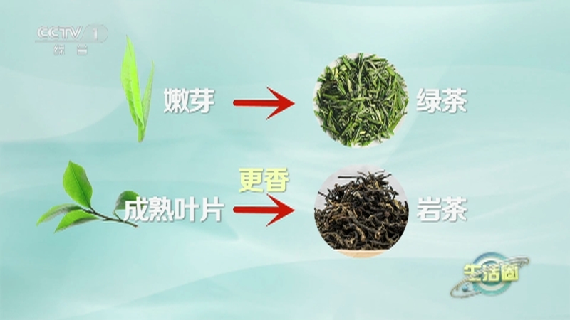 生活圈 《生活圈》 20230322