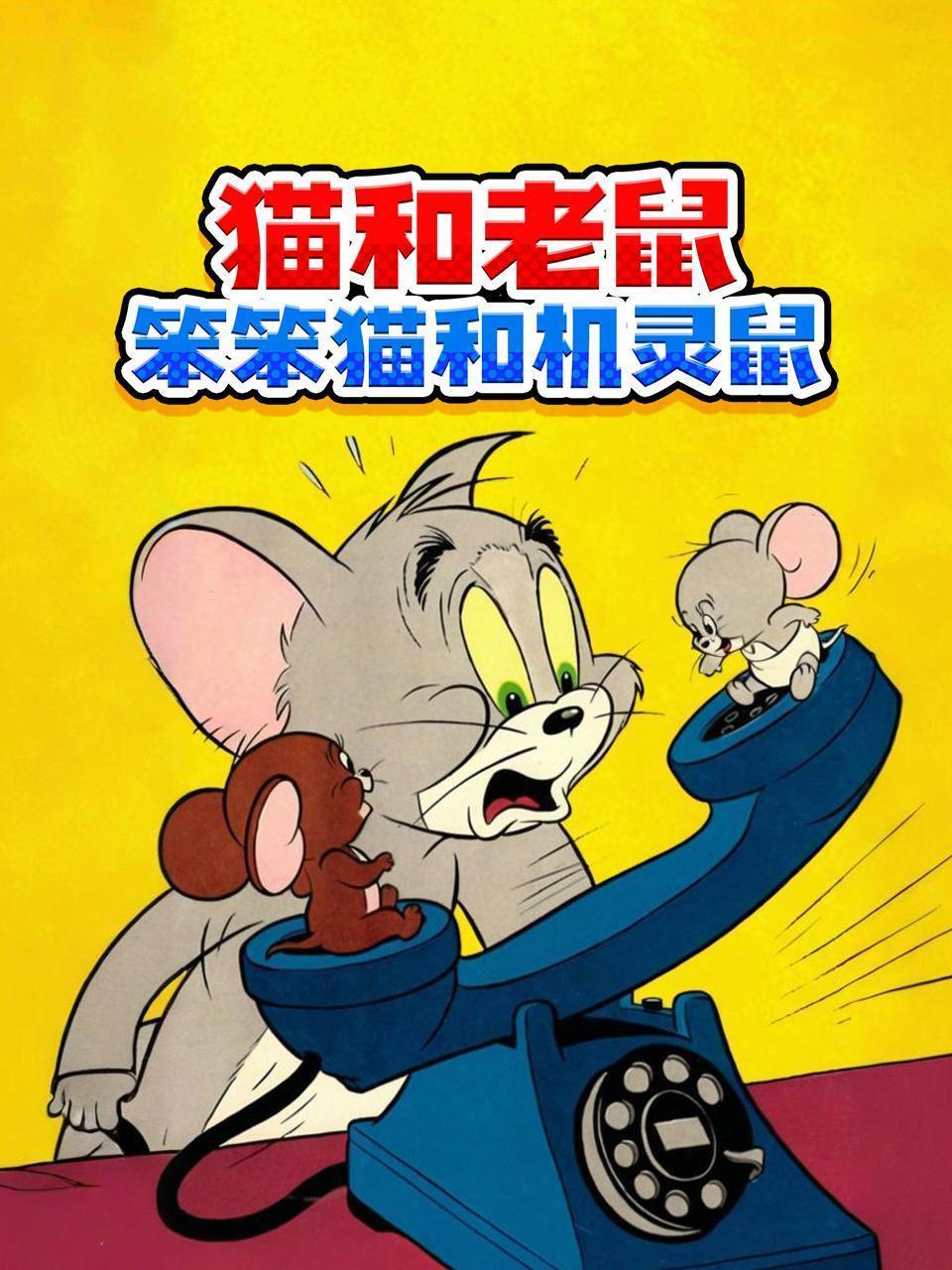 猫和老鼠笨笨猫和机灵鼠